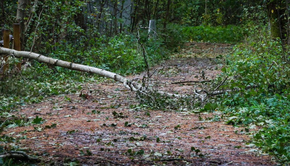 Photograph by Igors Rostikovs