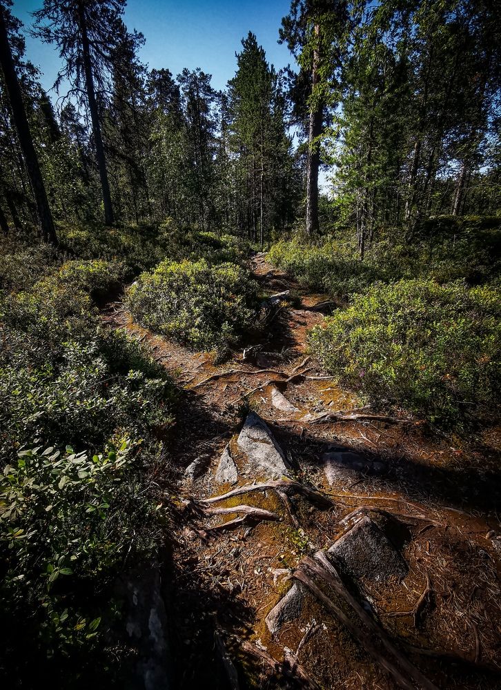 Photograph by Третьякова Анастасия