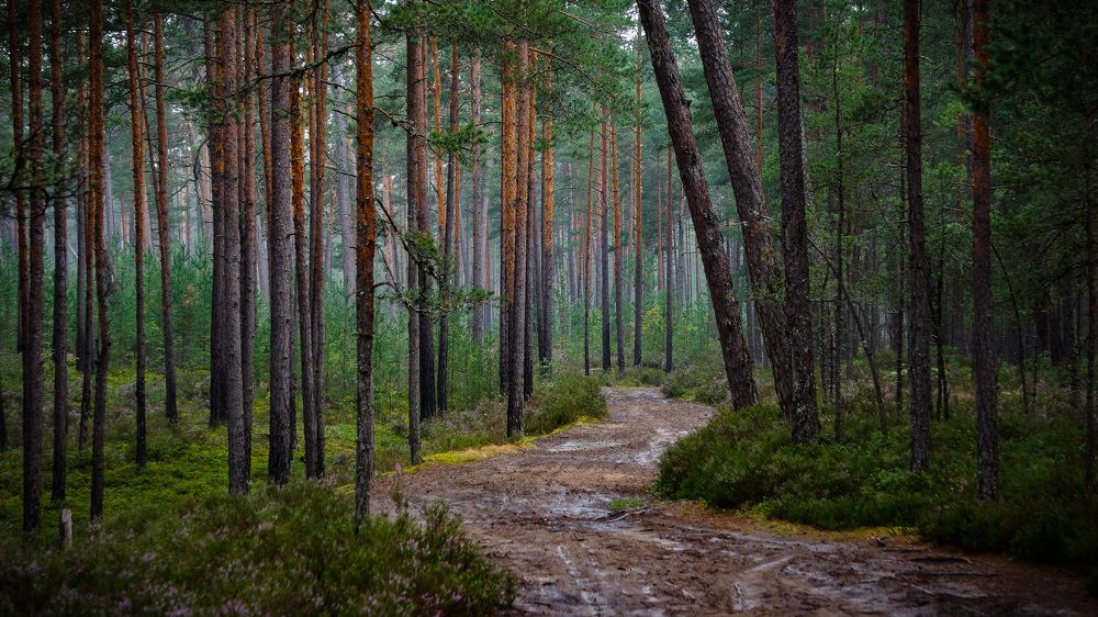 Photograph by Igors Rostikovs