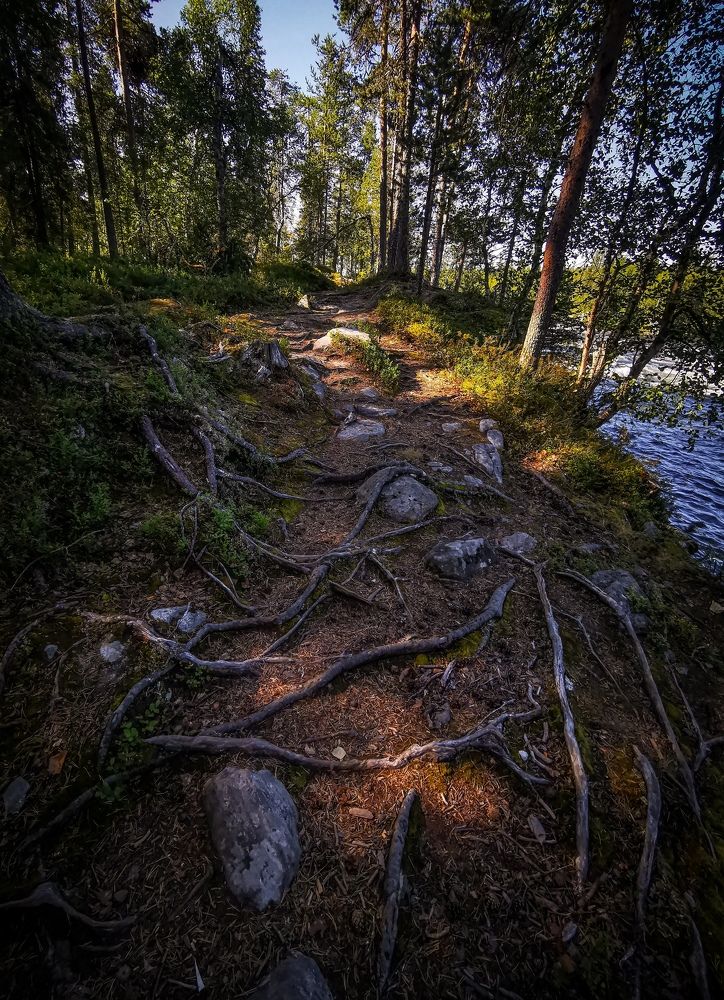 Photograph by Третьякова Анастасия