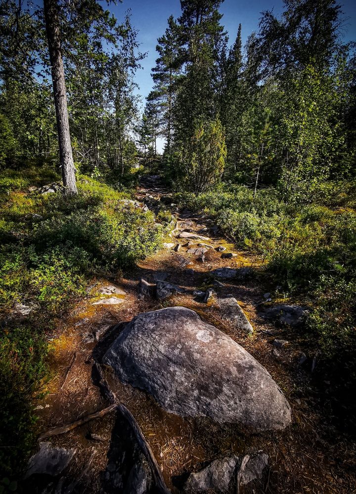 Photograph by Третьякова Анастасия