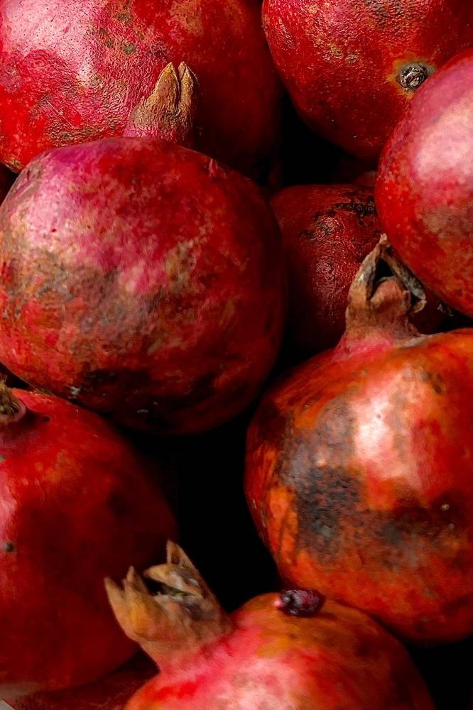 Photograph by Евгения Казакова