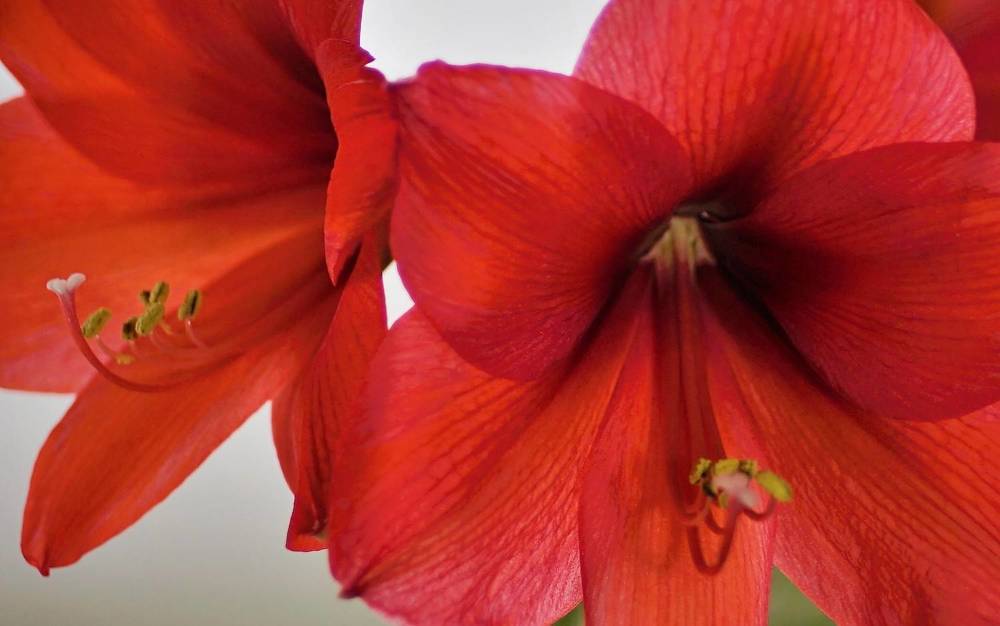 Photograph by Дмитрий Куркулин