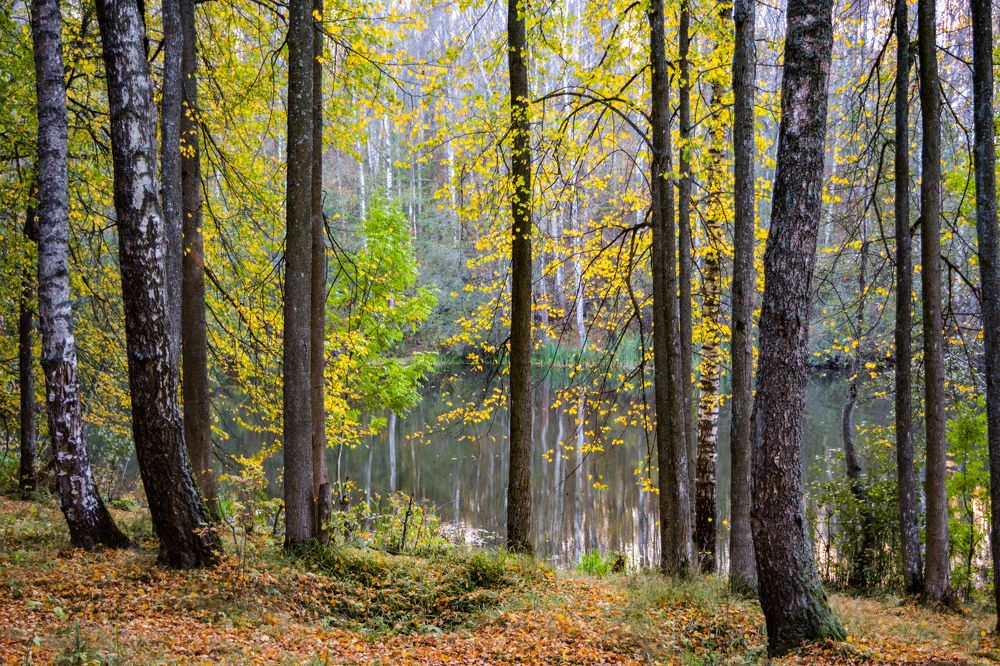 Photograph by Сергей Гуров