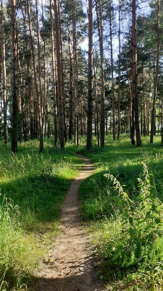 Photograph by Елена Лещева