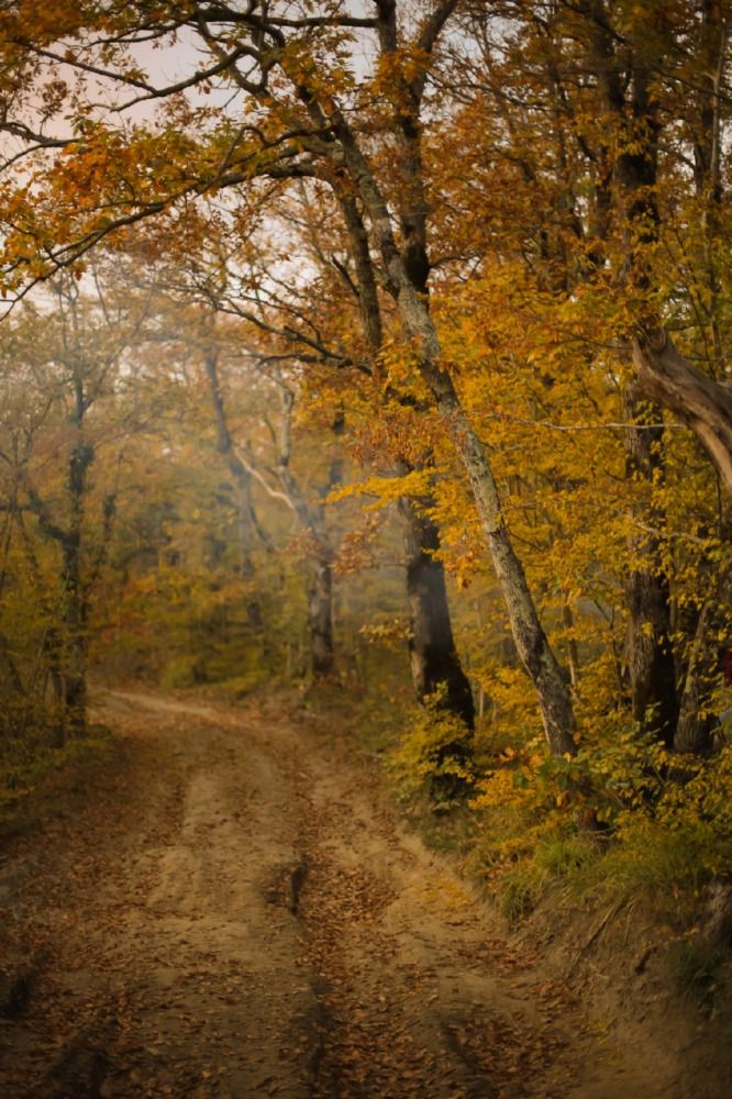 Photograph by Михаил Саидов