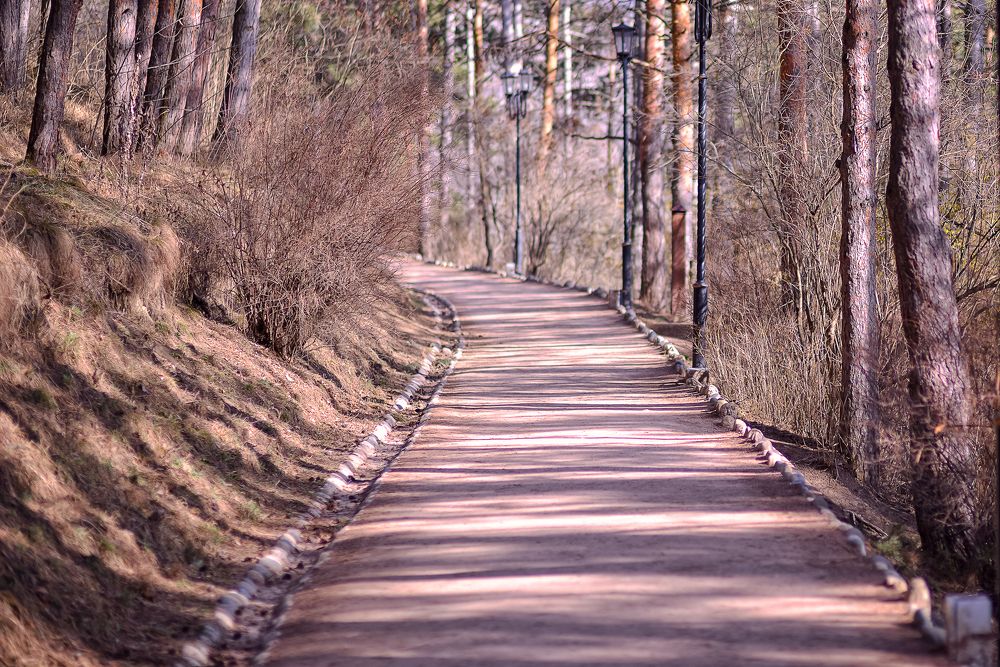 Photograph by Андрей Курбатов