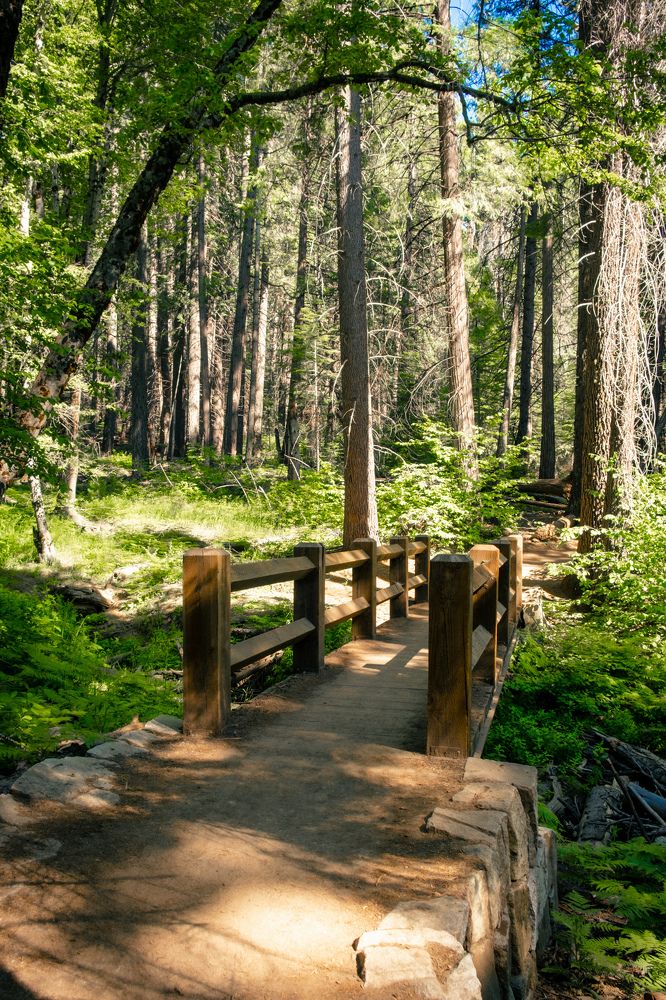 Photograph by Anna Cherkasova