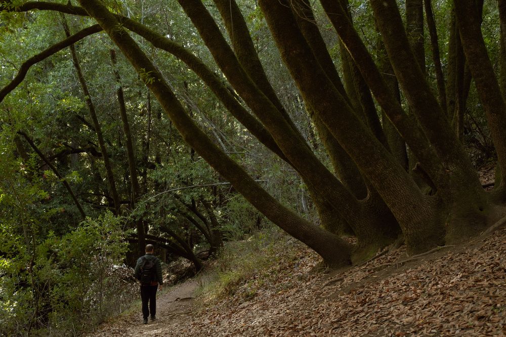 Photograph by Anna Cherkasova