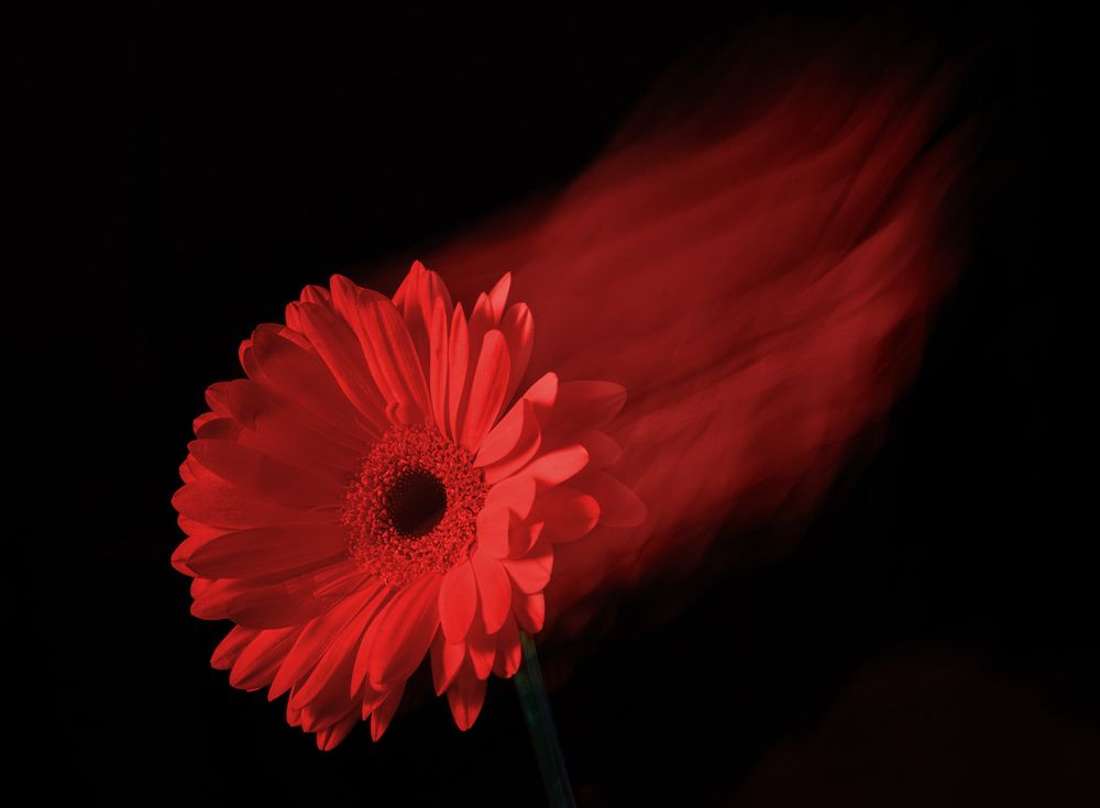 Photograph by Frolova Tatyana