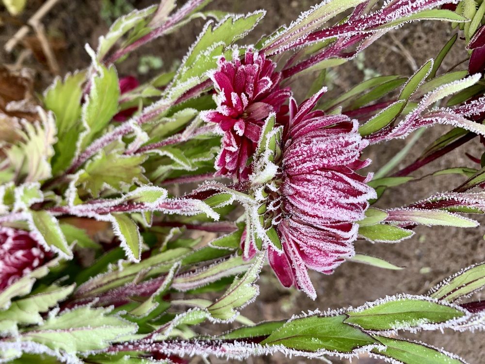 Photograph by Ионова Татьяна