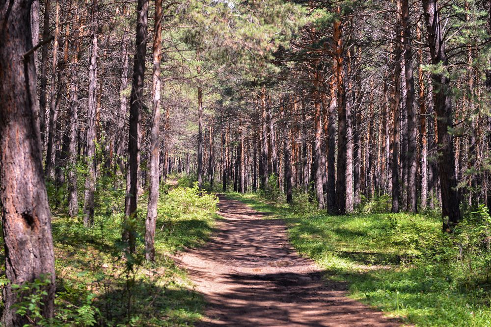 Photograph by Андрей Курбатов