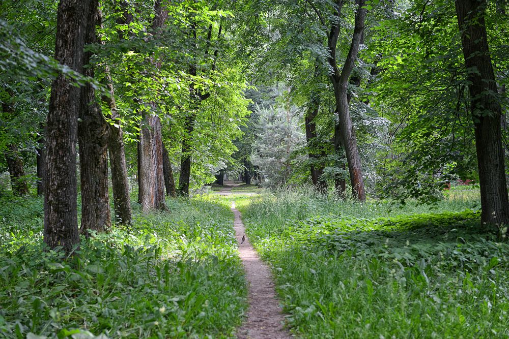 Photograph by Андрей Курбатов