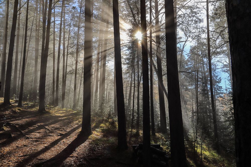 Photograph by Коровин Анатолий Владимирович