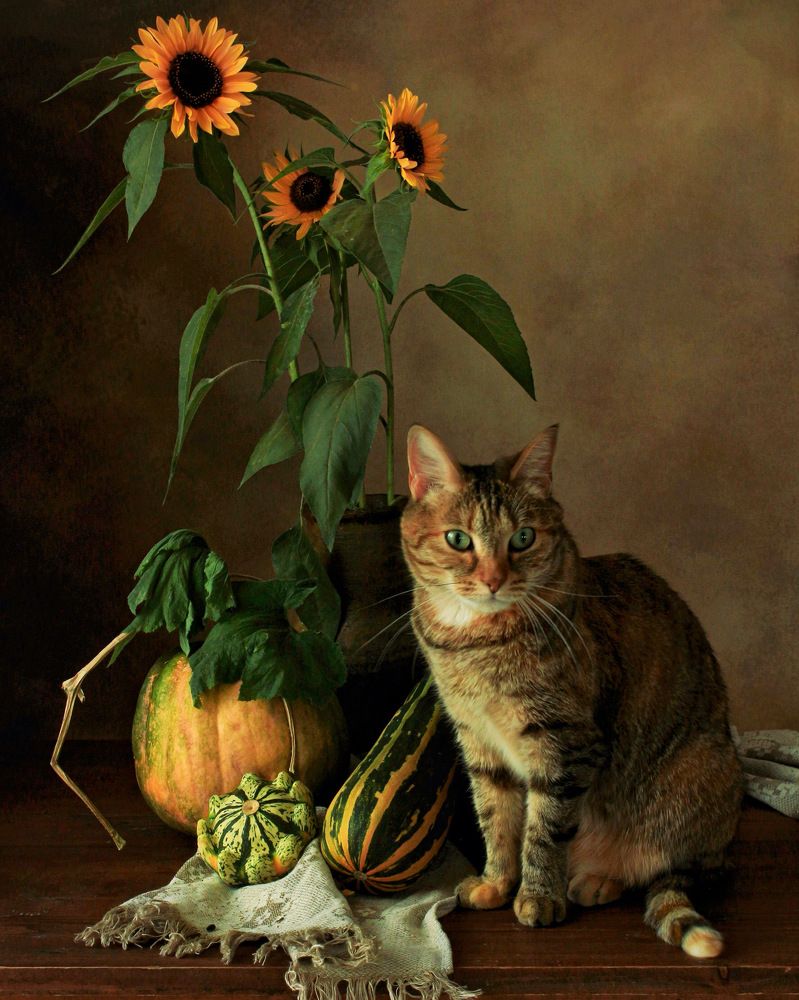 Photograph by Кира Иванова