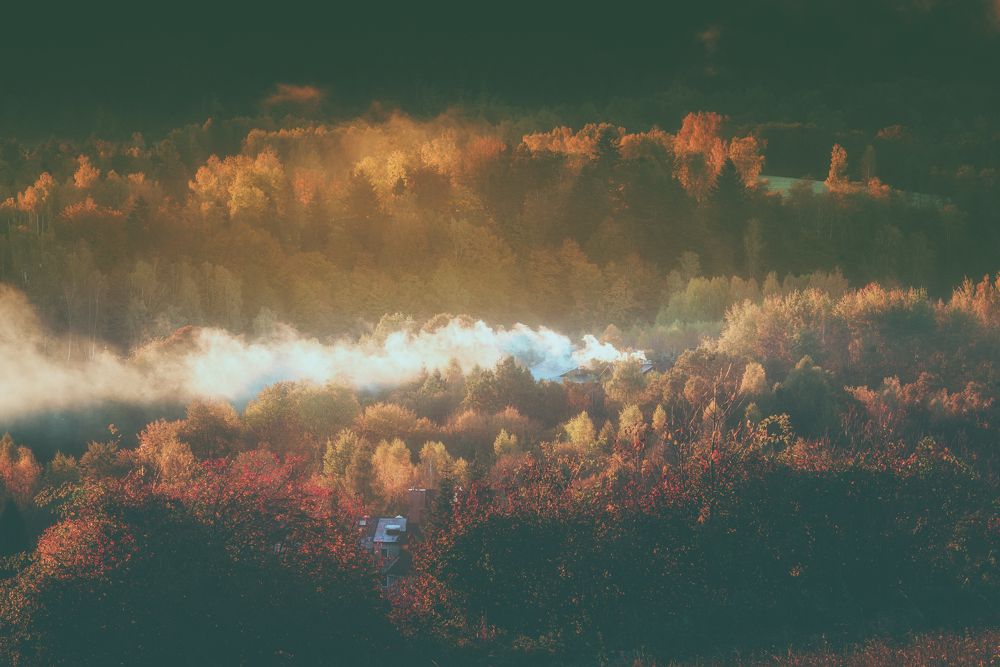 Photograph by Budyta Dariusz