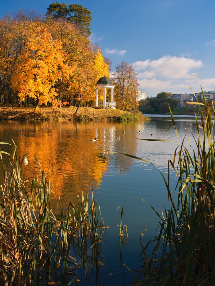 Photograph by Дыбов Дмитрий