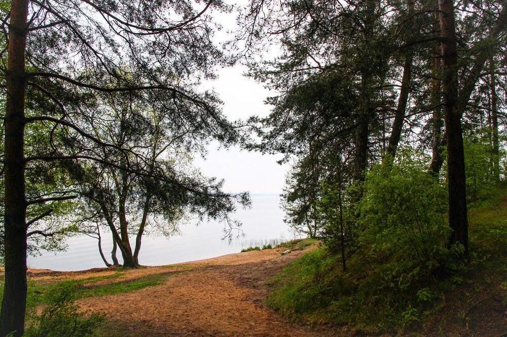 Photograph by Igors Rostikovs