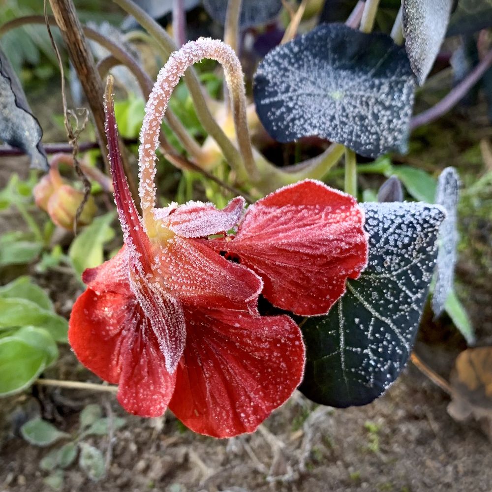 Photograph by Ионова Татьяна