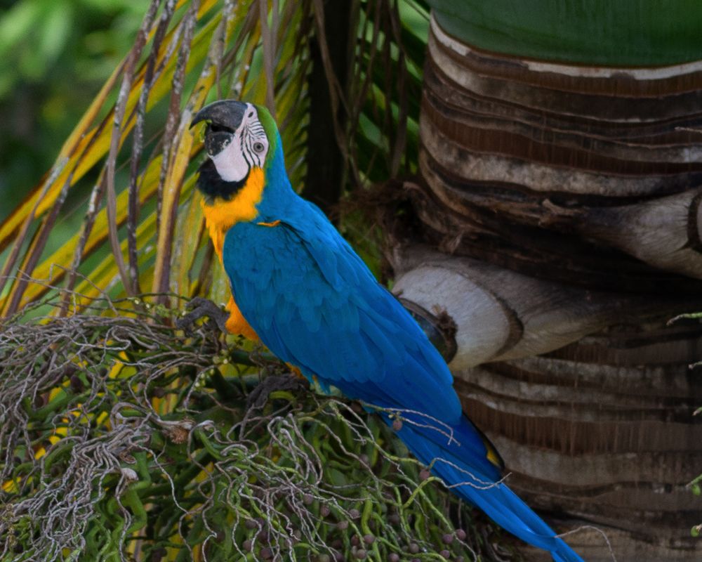 Photograph by Norberto Monagas