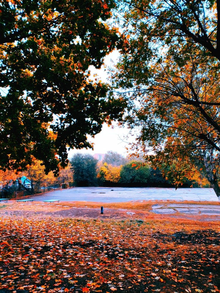 Осенний листопад