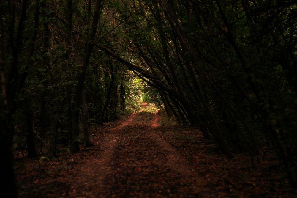 Photograph by АЛЛА ТАРАСЕНКО