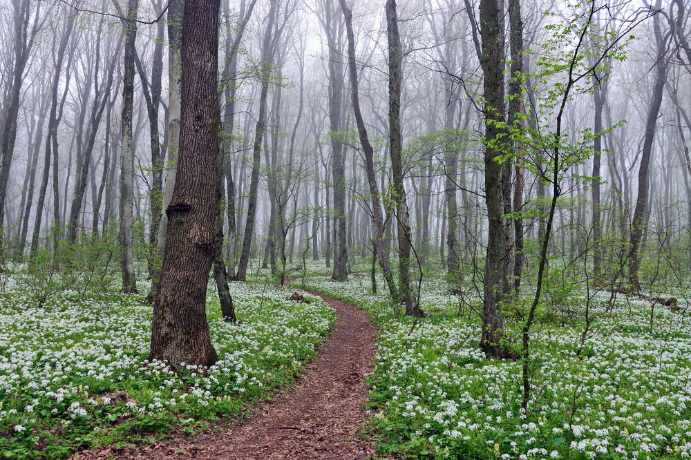 Photograph by Сергей Маслов