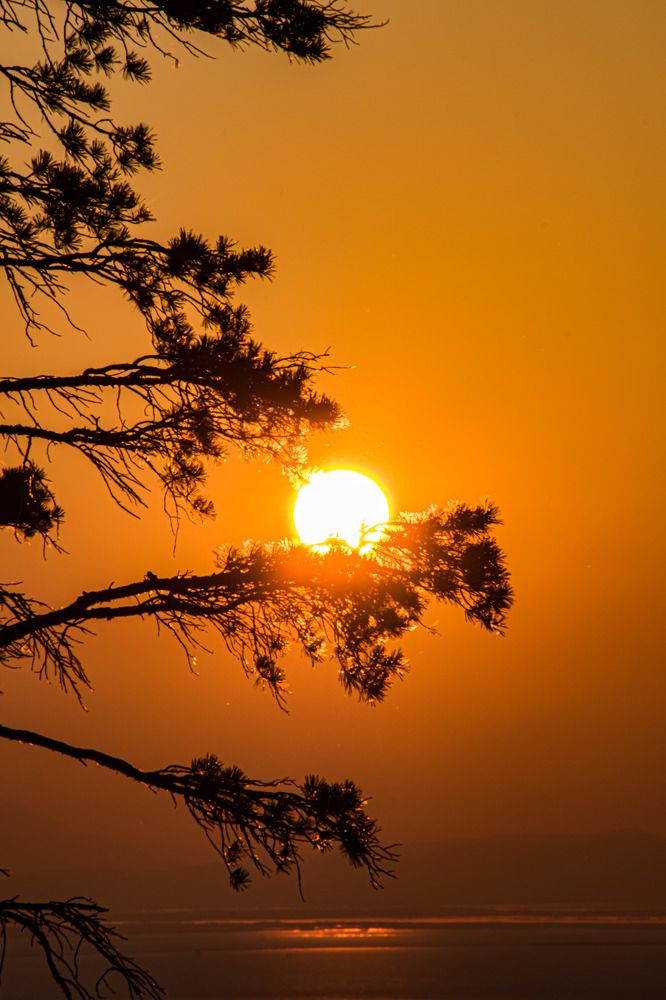 Photograph by Виктория Лобанова