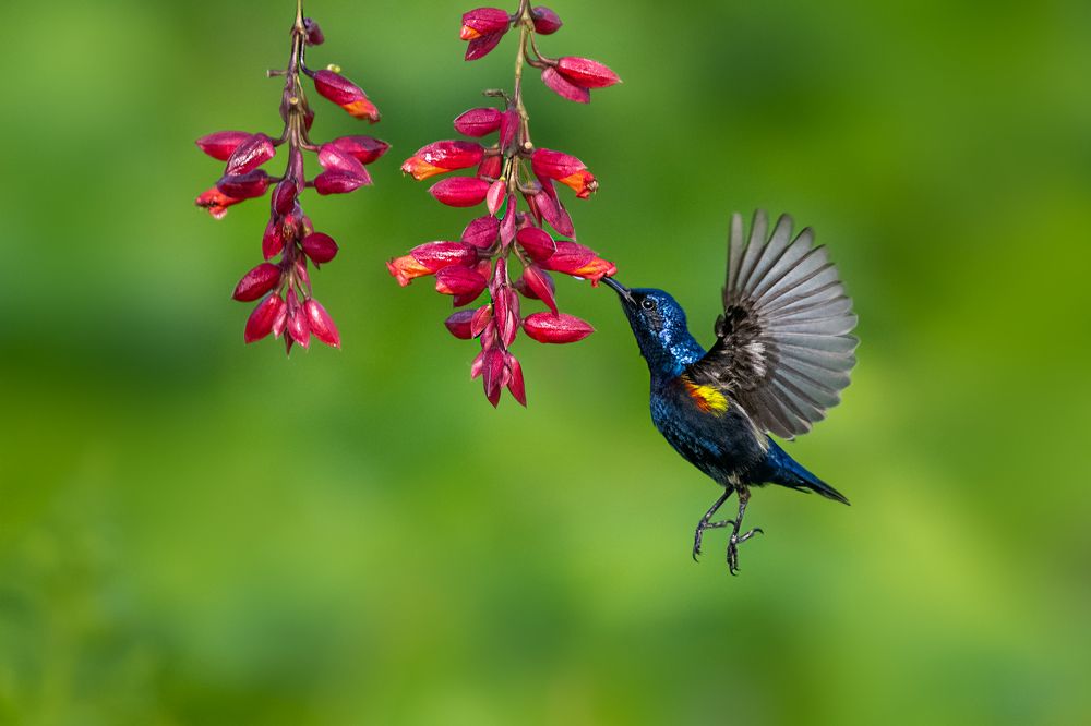 Photograph by Debjyoti Sarkar