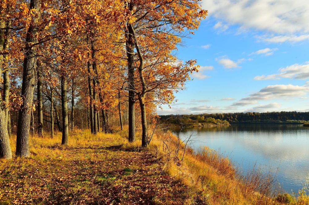 Photograph by Николай Абакумов