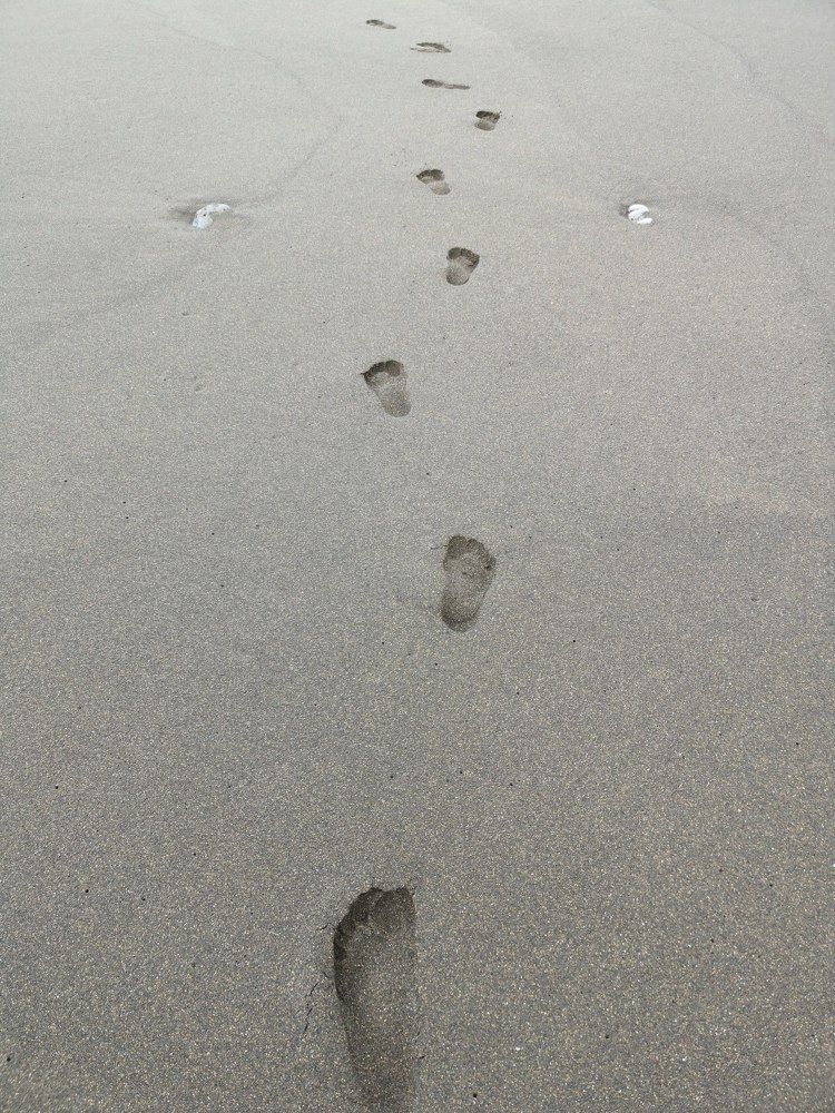 Фотография автора Ian Heard