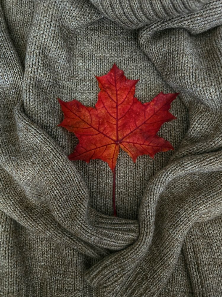 Photograph by Николайчик Елена