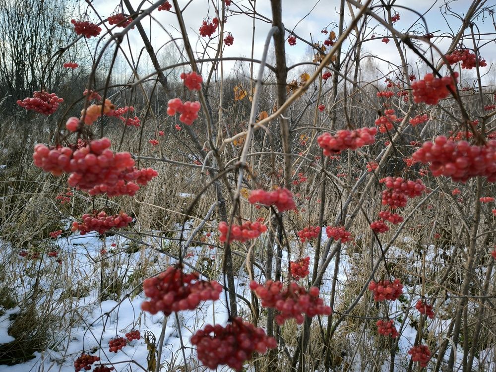 Фотография автора Александр Осинцев