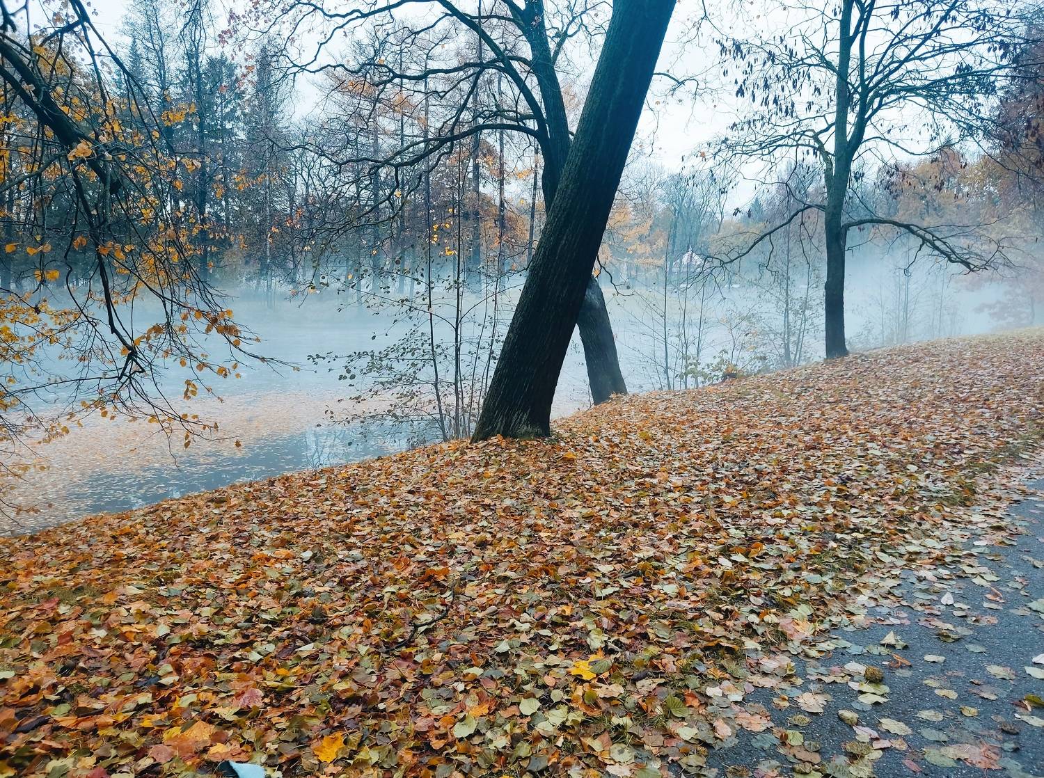 Photo #11216308