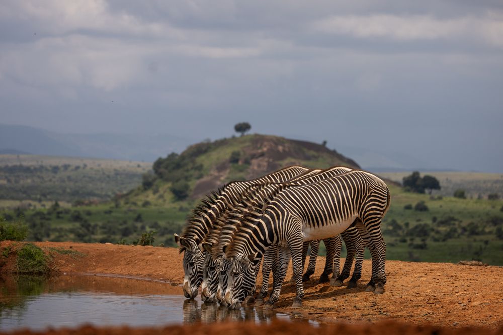 Photograph by Ольга Шайдулина