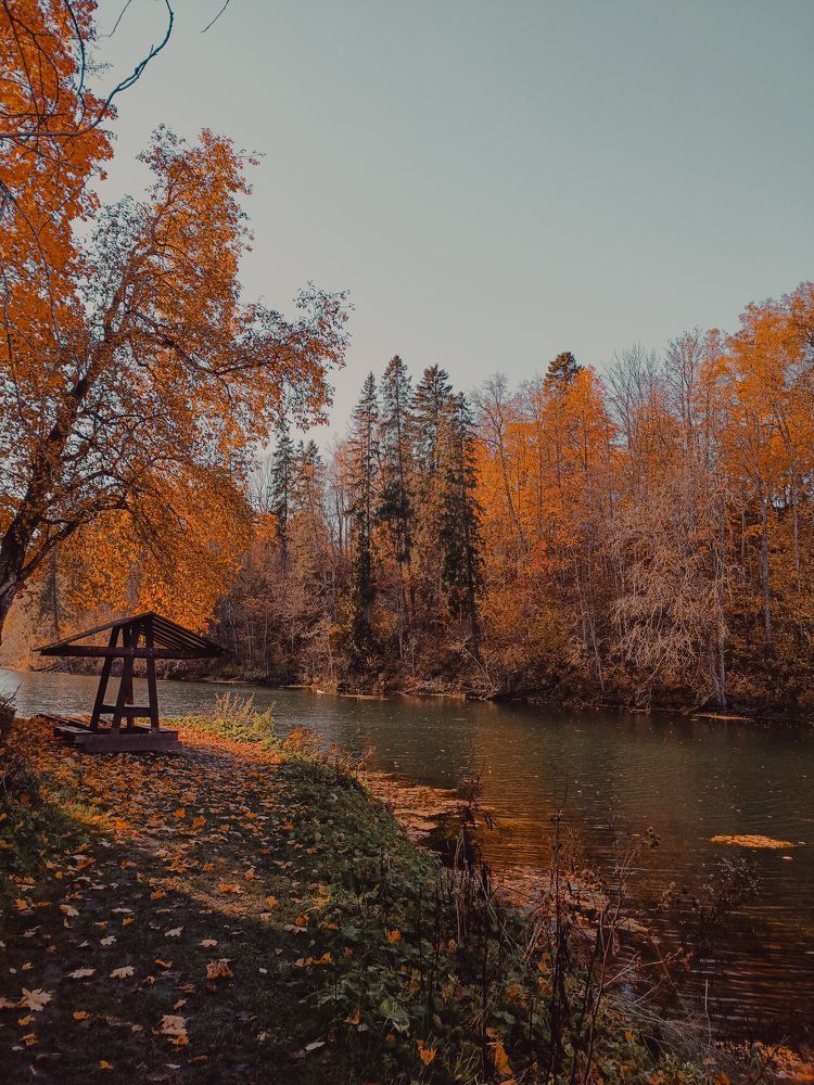 Photo #11216347