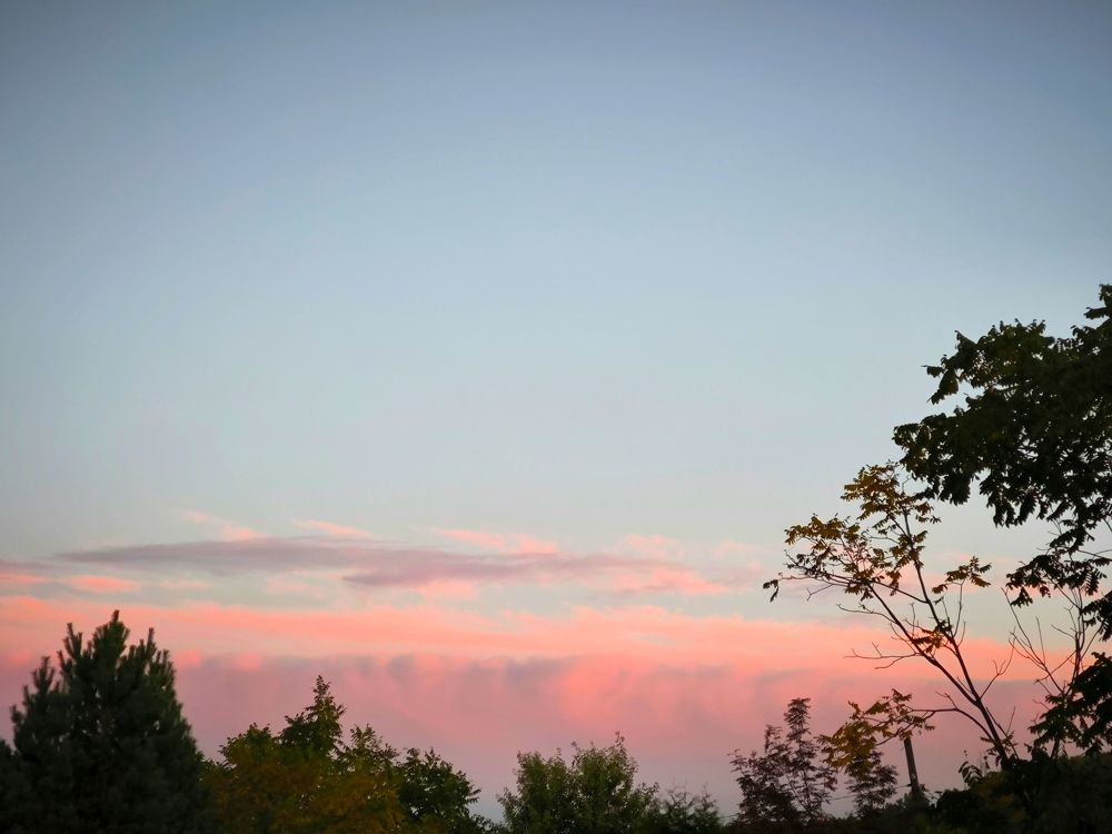 Фотография автора Александр Осинцев