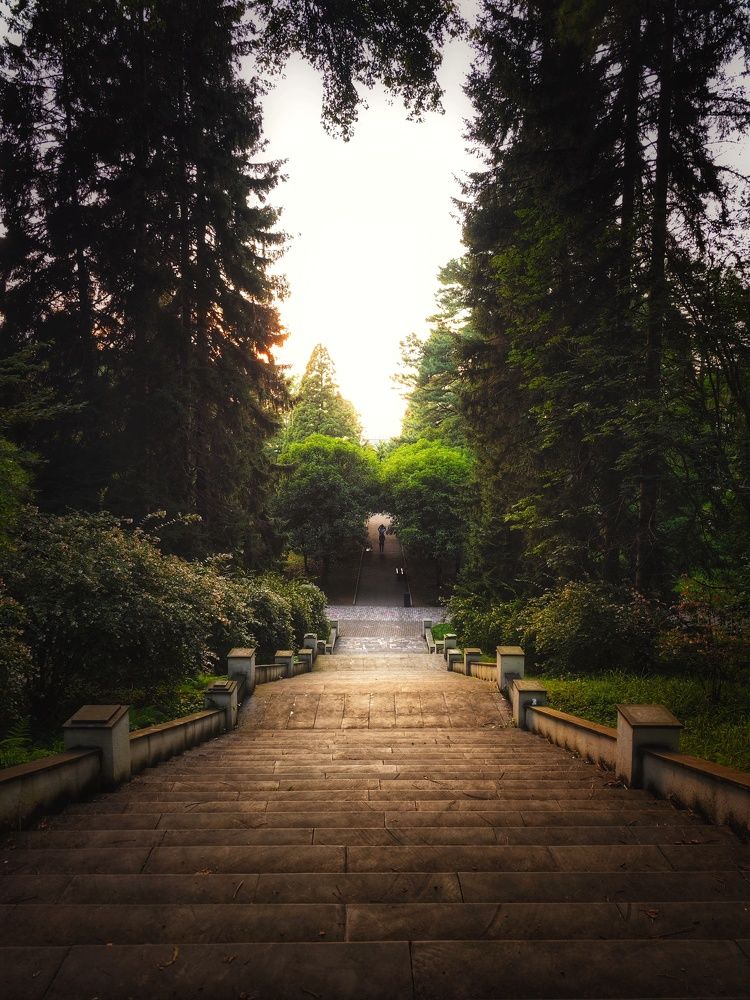 Photograph by Евгения Кинжакова