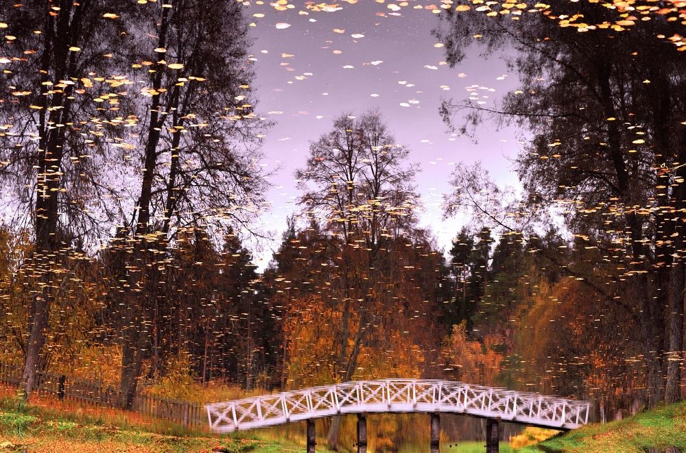 Photograph by Юрий Яковлев