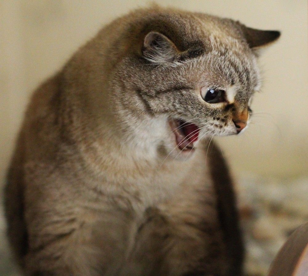 Photograph by Любовь Иванова