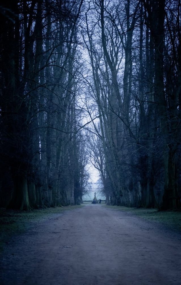 Photograph by stephanie taylor