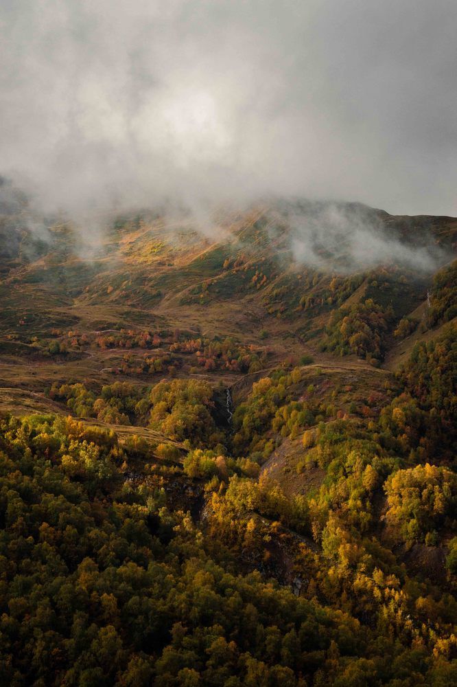 Photograph by Анастасия Сартакова
