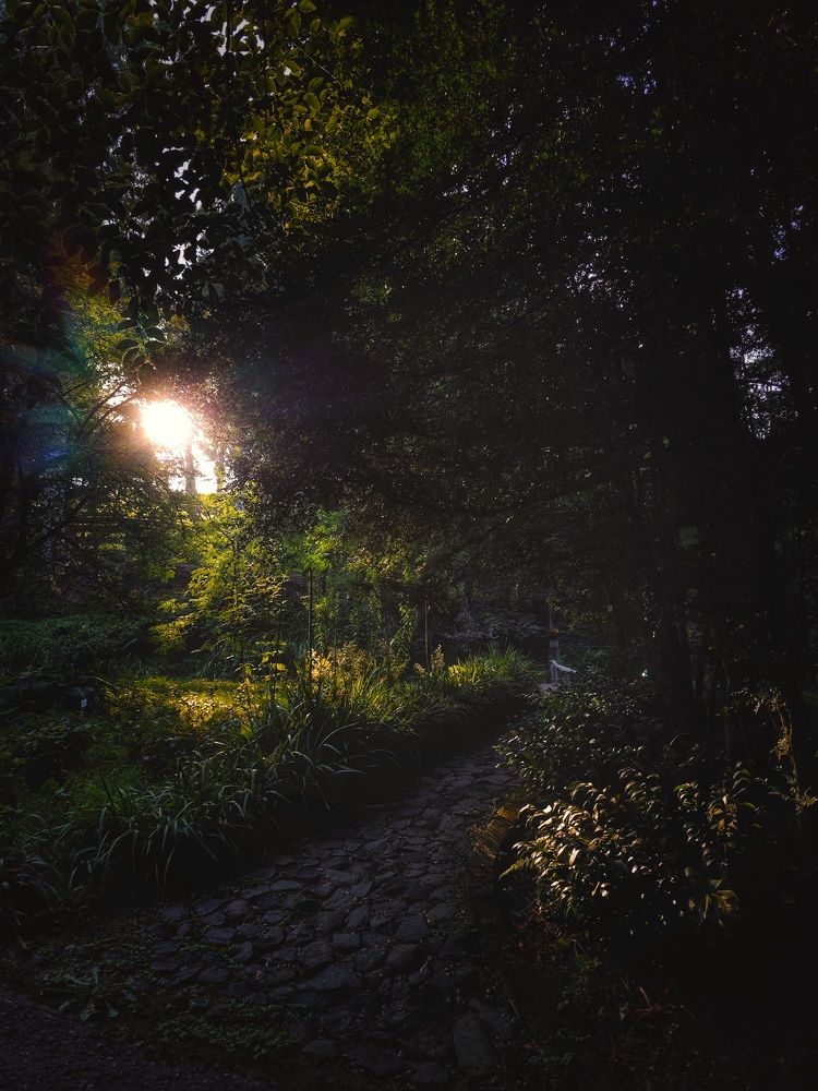 Photograph by Евгения Кинжакова