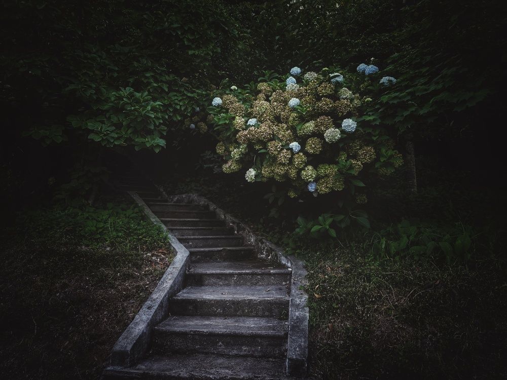 Photograph by Евгения Кинжакова