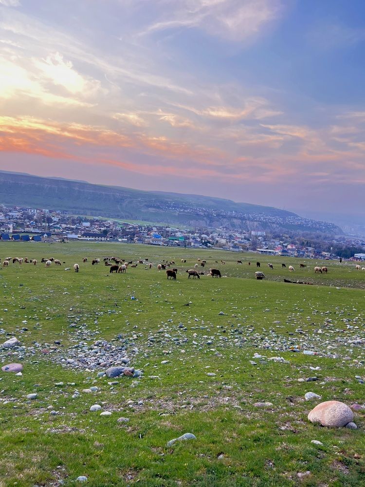 Photograph by Елена Аникеева