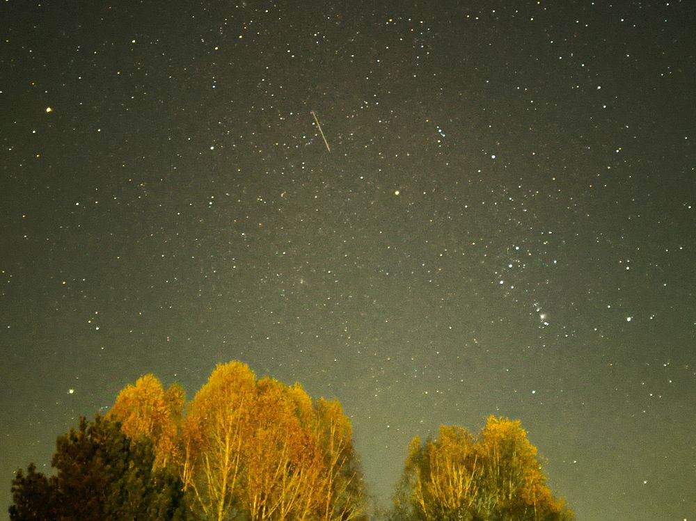 Фотография автора Александр Осинцев