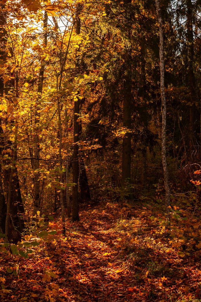 Photograph by Natalja Vasiljeva