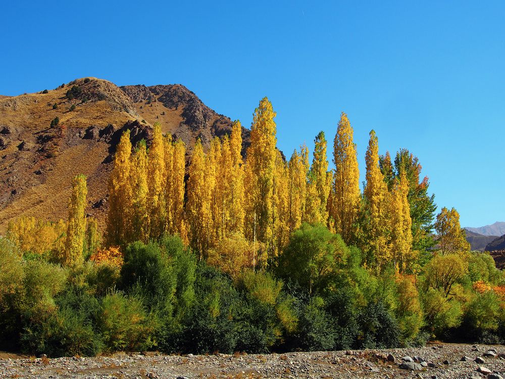 Photograph by Farid Ataei