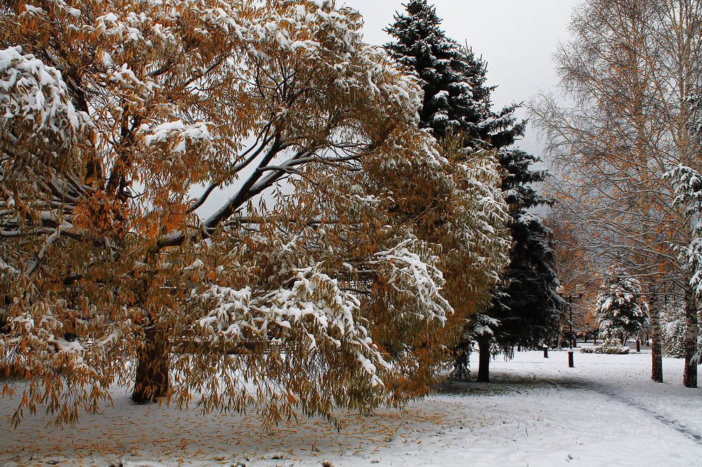 Photograph by Курочкина Диана