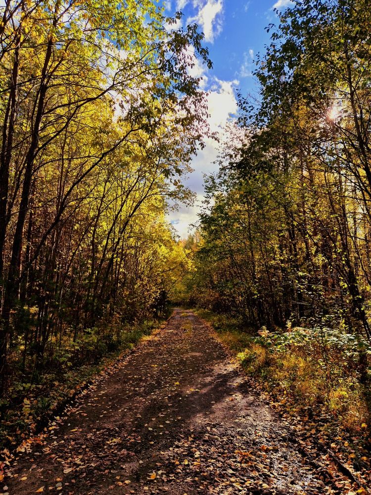 Photograph by Елена Аникеева